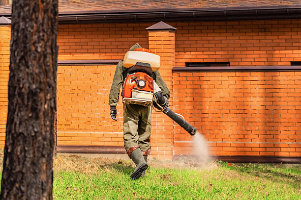 Bed Bug Clearance Verification and Documentation in Kiln